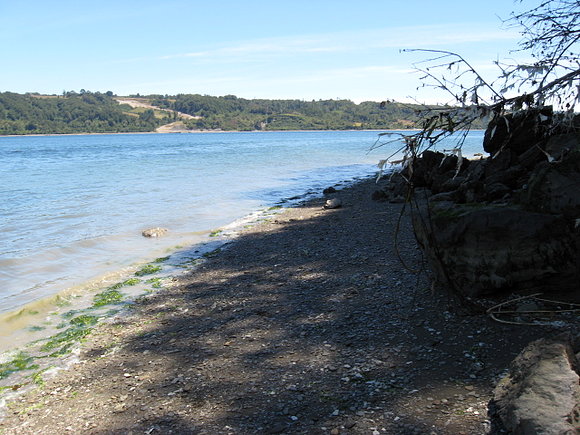 Dalcahue.