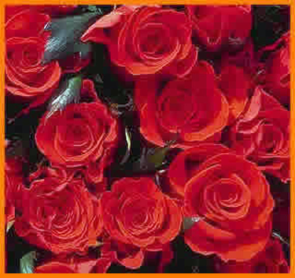 Hola Amigas!!!!!!!!!!!!!