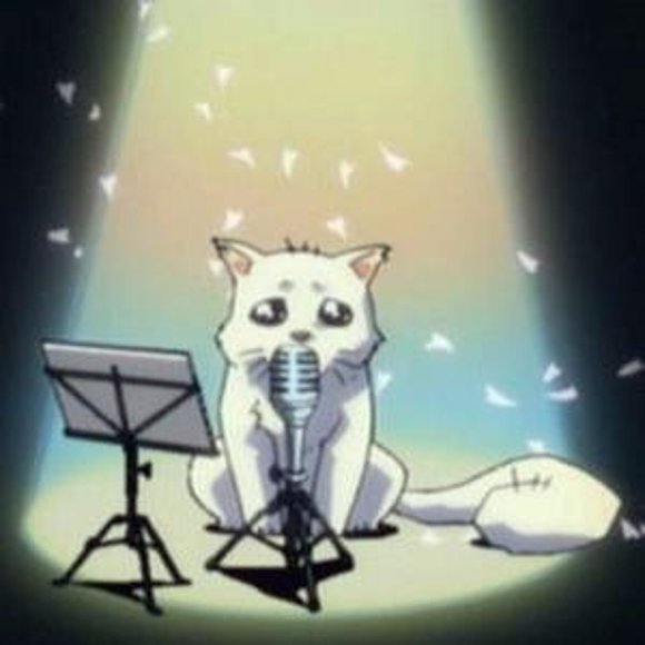 gatito excel saga