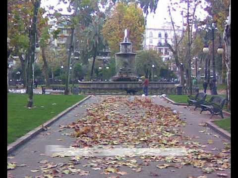 Mi C&oacute;rdoba, Ciudad!