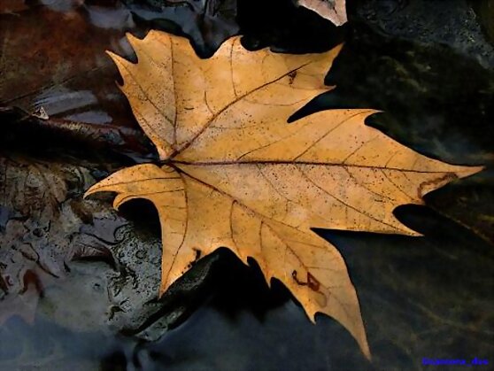 Otoño.