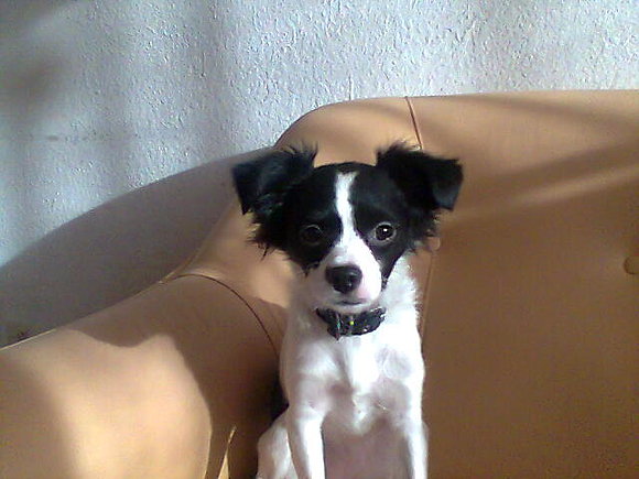 LULY!