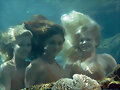 LAS SIRENAS!!!