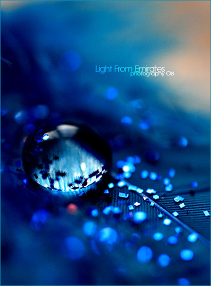 blue x blue