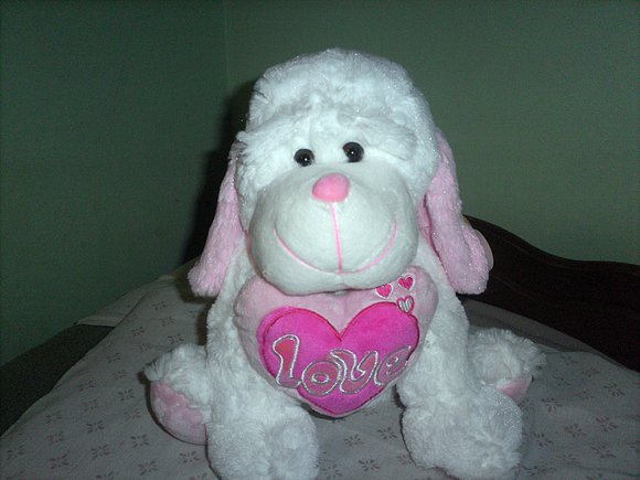 wiii mañana cumplo 2 meses cn mi novia