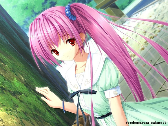kOnnichiwa!