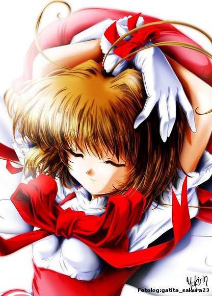 sakura