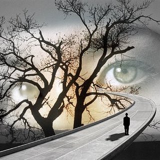 ¡CAMINOS DIFERENTES!