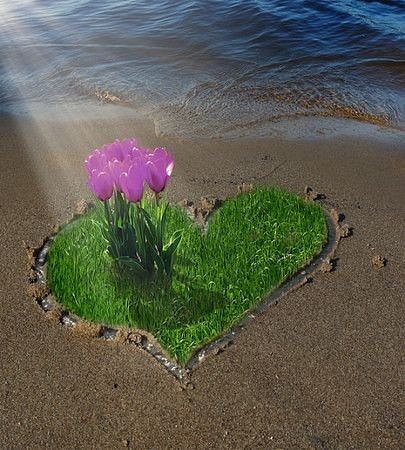 ¡EL AMOR FLORECE!