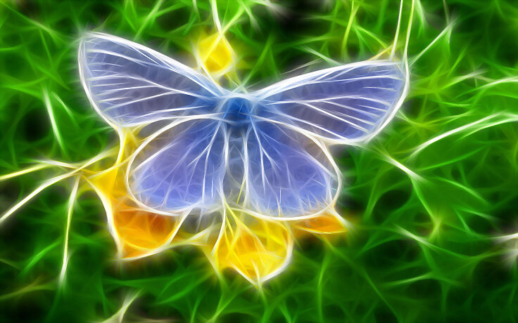 ¡MARIPOSAS!