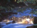 LAS AGUAS