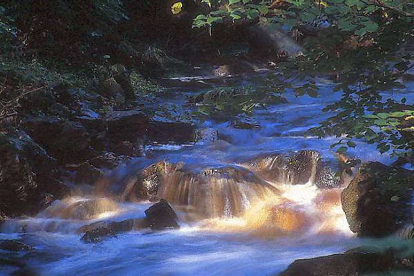LAS AGUAS