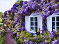 AROMAS