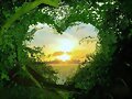 CORAZON AL SOL