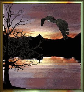 AGUILA AL VUELO