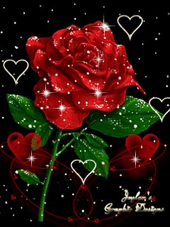 ROSAS ROJAS