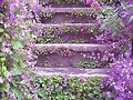 ESCALERAS FLORECIDAS