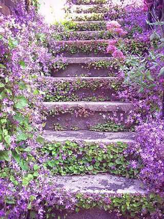 ESCALERAS FLORECIDAS