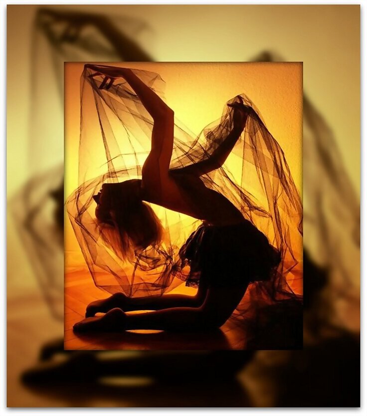 ¡DANZA!