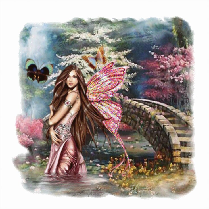 ¡MARIPOSA JARDINERA!