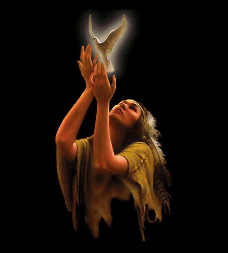 ¡LIBRE!