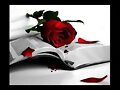&iexcl;UN LIBRO Y UNA ROSA TRADICION DEL SAN VALENTIN!