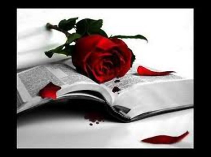 ¡UN LIBRO Y UNA ROSA TRADICION DEL SAN VALENTIN!