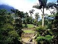 &iexcl;CIUDAD PERDIDA! SIERRA NEVADA DE SANTA MARTA