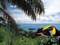 &iexcl;NICARAGUA Y SU BIODIVERSIDAD!