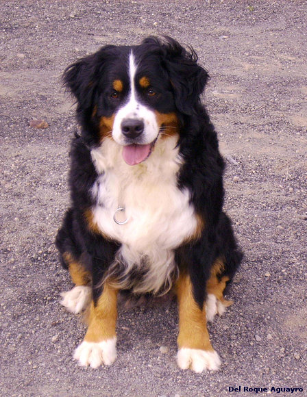 Heidi