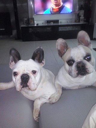 Blanco y Blanca