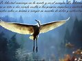 &quot;Prefiero morir de pie que vivir de rodillas&quot;