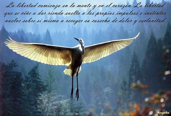 "Prefiero morir de pie que vivir de rodillas"