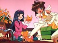 Sakura y tomoyo
