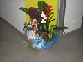 Muchas gracias amigos