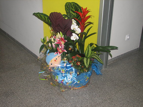 Muchas gracias amigos