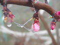 T&uacute; hielo me mata