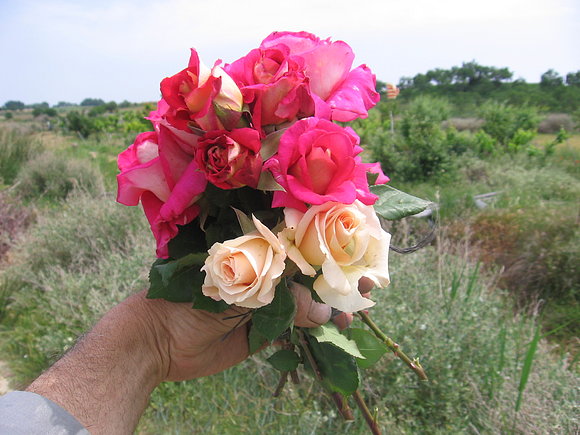 Recordar es sueño - Foto mayo 2006