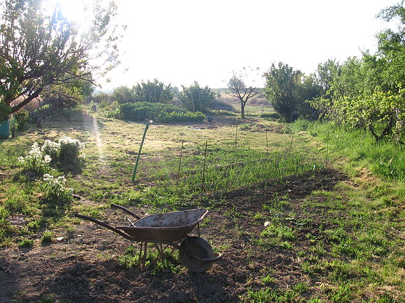 Rincón de los ruiseñores