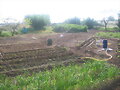 Sigo plantando, foto 5 - 5 - 11