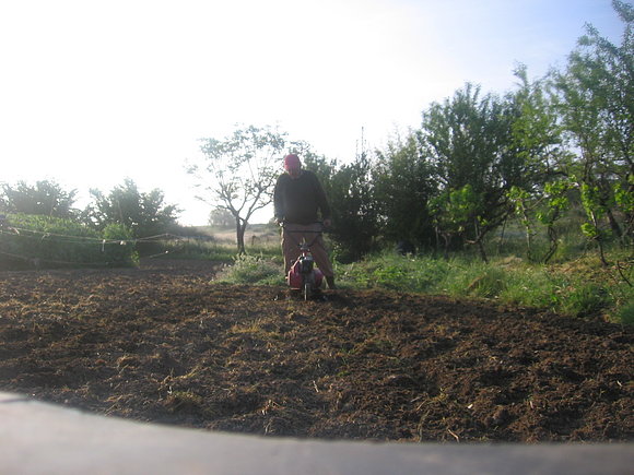 En plena faena; foto, mayo - 2011