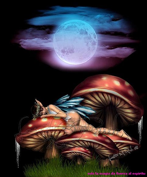 LUNA LLENA MAGICA