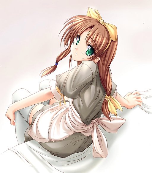 monita