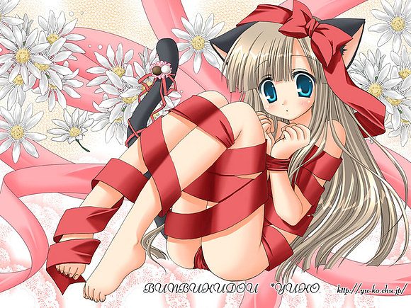 pretty cat!