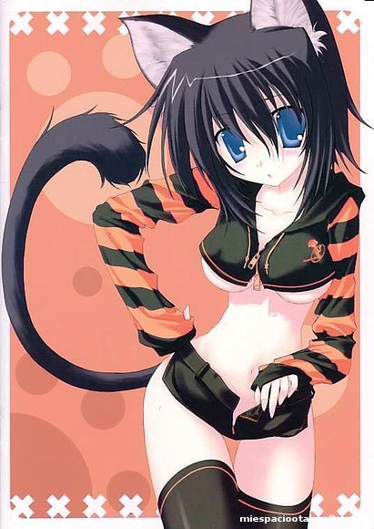 Neko-chan