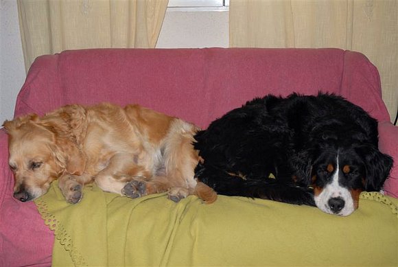 Olimpia y Kiara