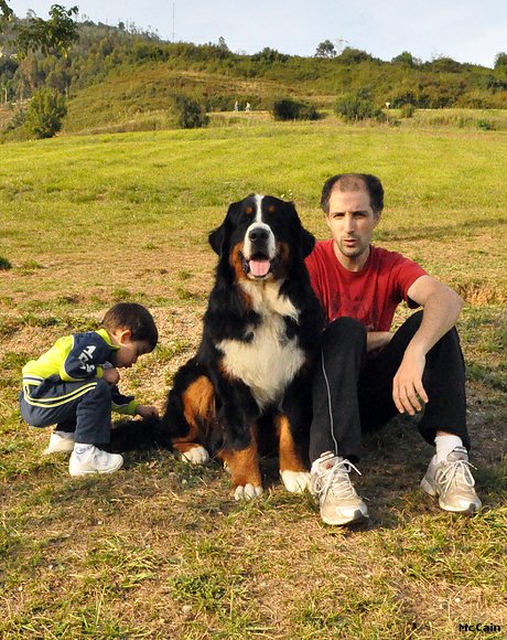 McCain con 11 meses