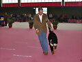 McCain Expo Badajoz.  Exc.1&ordm; MJ