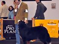 McCain, Expo de Granada (21/02/2010)  16 meses