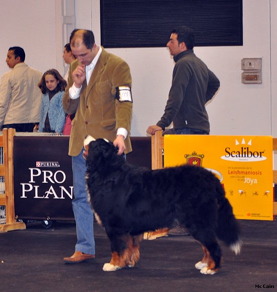 McCain, Expo de Granada (21/02/2010)  16 meses
